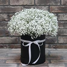 Цветочная композиция из Гипсофила в шляпной коробке #REPLACE_PRED# Старое Шайгово